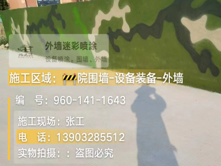 西宁 迷彩漆喷涂价格（按平方米计费）